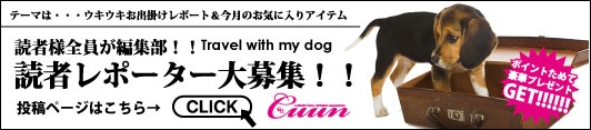 �ǎ҃��|�[�^�[��W