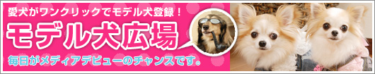 �t�H�g���f�����L��