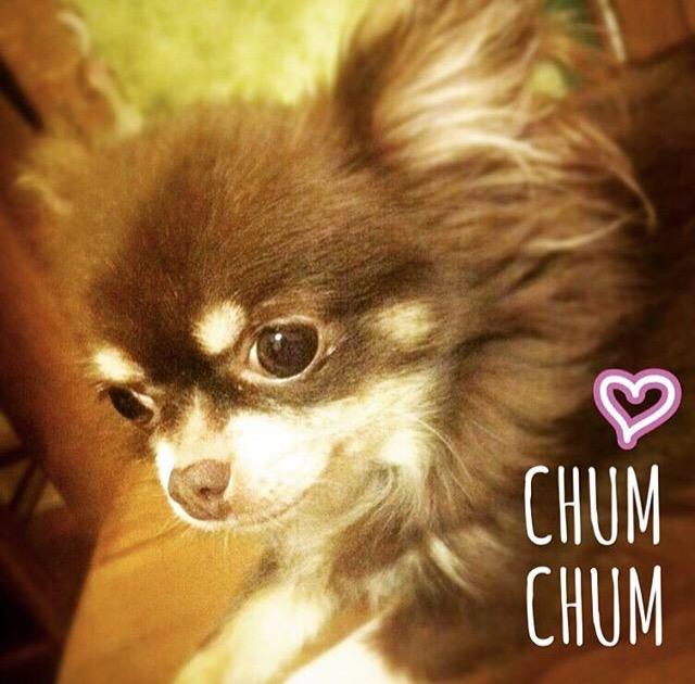 CHUMi`j