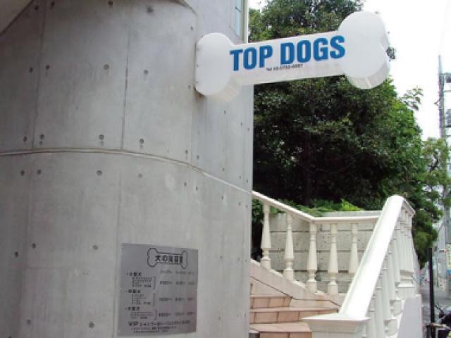 TOP DOGS 千石